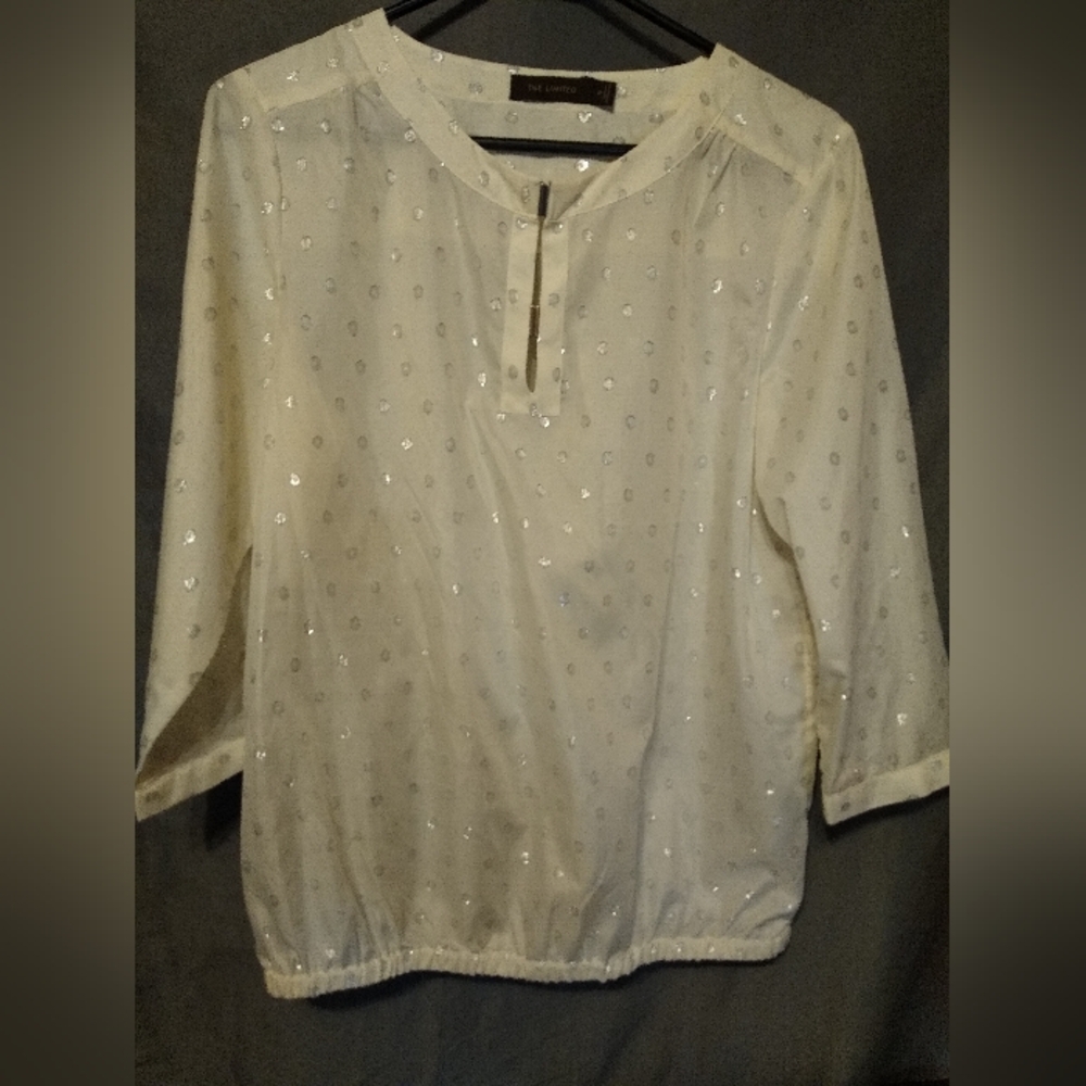The limited vintage ivory blouse with silver embroidered sequin dots
